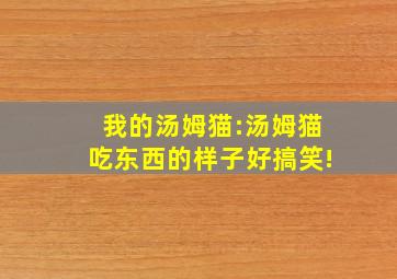 我的汤姆猫:汤姆猫吃东西的样子好搞笑!