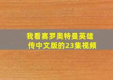 我看赛罗奥特曼英雄传中文版的23集视频