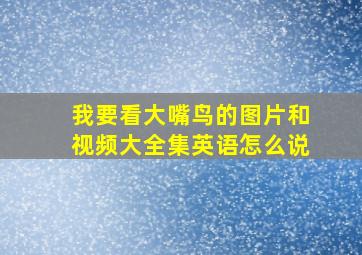 我要看大嘴鸟的图片和视频大全集英语怎么说