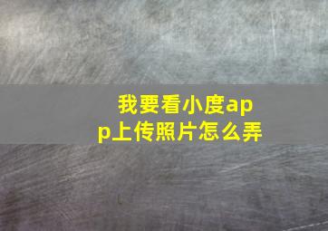 我要看小度app上传照片怎么弄