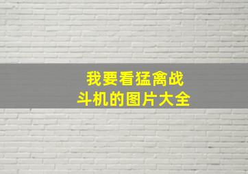 我要看猛禽战斗机的图片大全