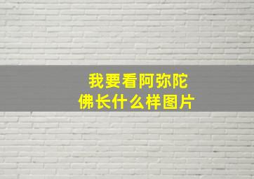 我要看阿弥陀佛长什么样图片