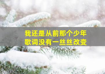 我还是从前那个少年歌词没有一丝丝改变