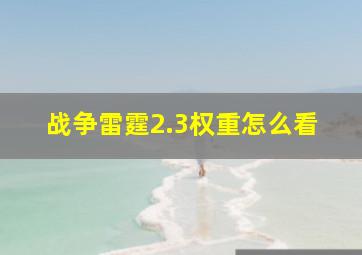 战争雷霆2.3权重怎么看