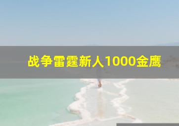 战争雷霆新人1000金鹰