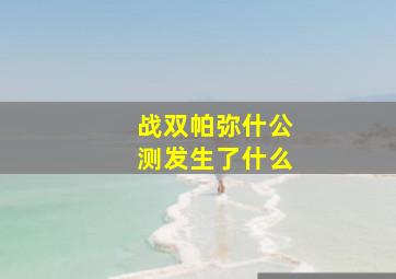 战双帕弥什公测发生了什么