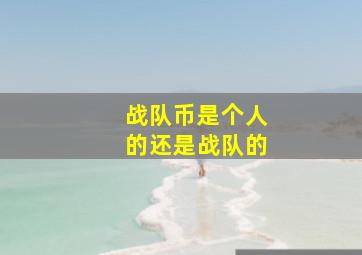 战队币是个人的还是战队的