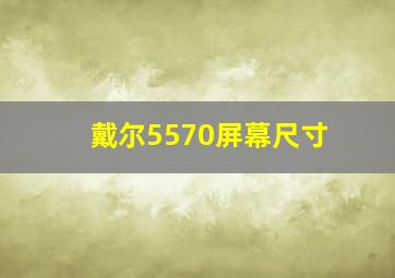 戴尔5570屏幕尺寸