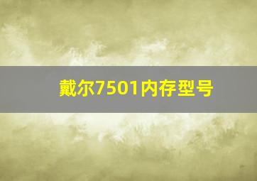 戴尔7501内存型号