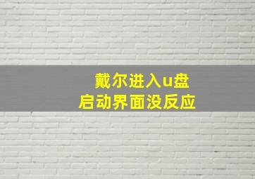 戴尔进入u盘启动界面没反应