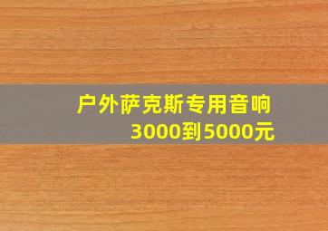 户外萨克斯专用音响3000到5000元