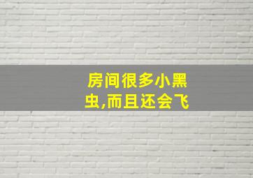 房间很多小黑虫,而且还会飞