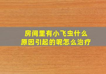 房间里有小飞虫什么原因引起的呢怎么治疗