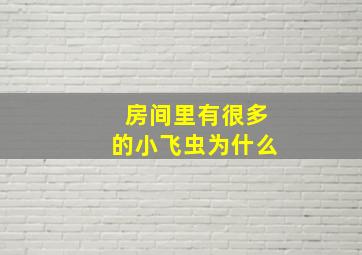 房间里有很多的小飞虫为什么