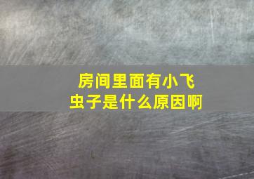 房间里面有小飞虫子是什么原因啊