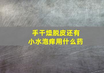 手干燥脱皮还有小水泡痒用什么药