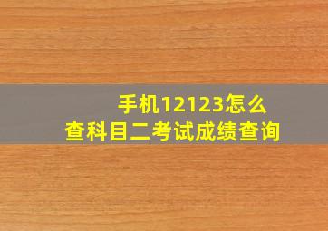 手机12123怎么查科目二考试成绩查询