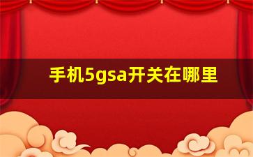 手机5gsa开关在哪里