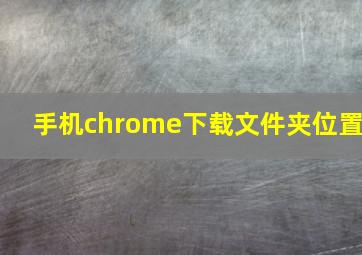 手机chrome下载文件夹位置