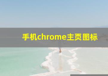 手机chrome主页图标