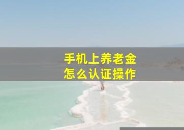 手机上养老金怎么认证操作