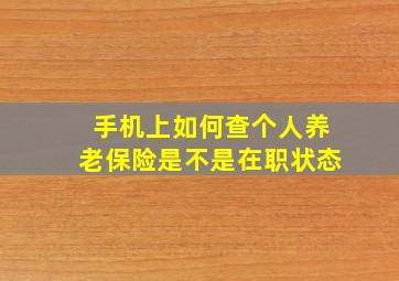 手机上如何查个人养老保险是不是在职状态