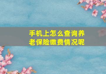 手机上怎么查询养老保险缴费情况呢