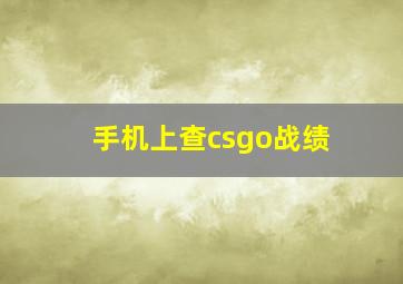 手机上查csgo战绩