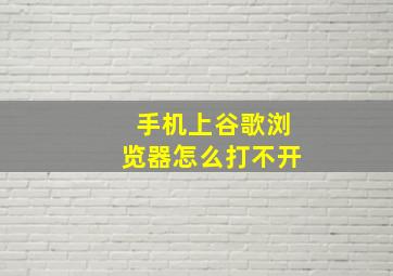 手机上谷歌浏览器怎么打不开