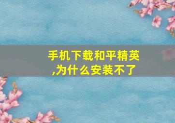 手机下载和平精英,为什么安装不了