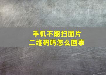 手机不能扫图片二维码吗怎么回事