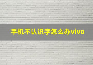 手机不认识字怎么办vivo