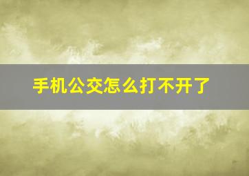 手机公交怎么打不开了