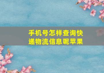 手机号怎样查询快递物流信息呢苹果