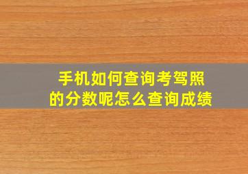 手机如何查询考驾照的分数呢怎么查询成绩