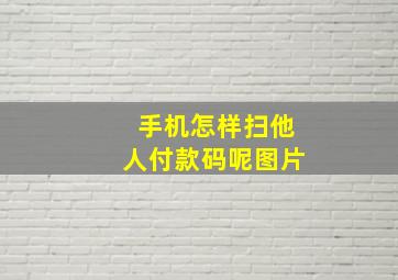 手机怎样扫他人付款码呢图片