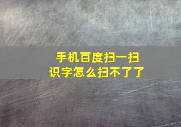 手机百度扫一扫识字怎么扫不了了