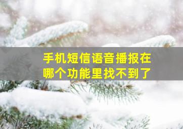 手机短信语音播报在哪个功能里找不到了