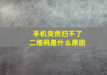 手机突然扫不了二维码是什么原因