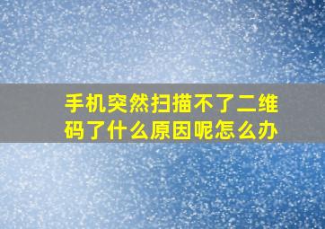 手机突然扫描不了二维码了什么原因呢怎么办