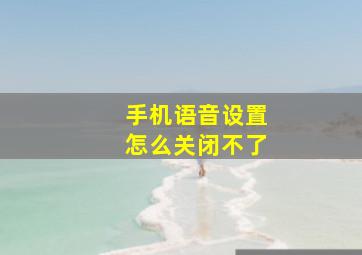 手机语音设置怎么关闭不了