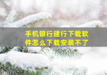 手机银行建行下载软件怎么下载安装不了