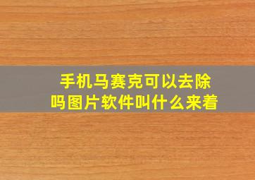 手机马赛克可以去除吗图片软件叫什么来着