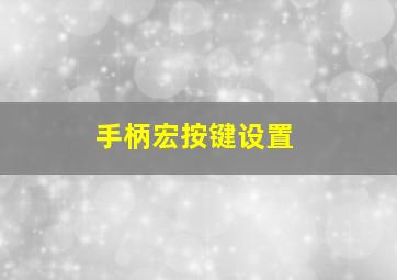 手柄宏按键设置