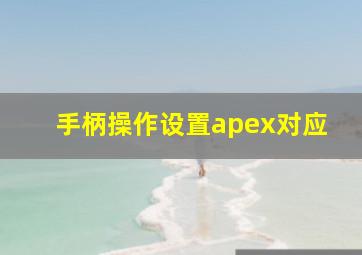 手柄操作设置apex对应