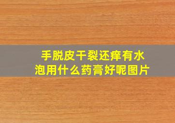 手脱皮干裂还痒有水泡用什么药膏好呢图片