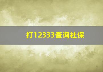 打12333查询社保