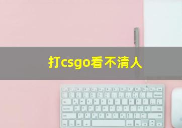 打csgo看不清人