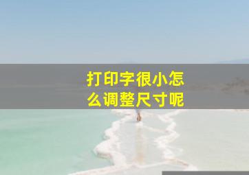 打印字很小怎么调整尺寸呢