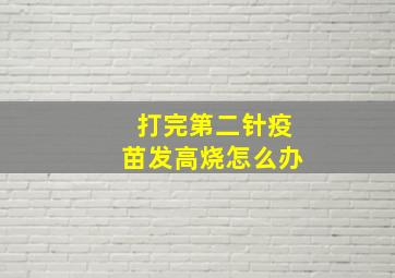 打完第二针疫苗发高烧怎么办